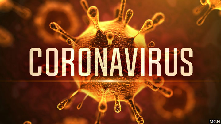 Corona Virus Information